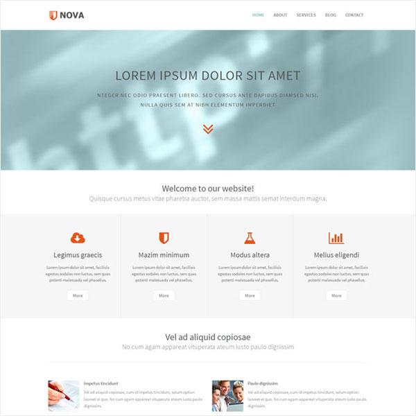 智能化且具有学习能力的网站防ddos攻击